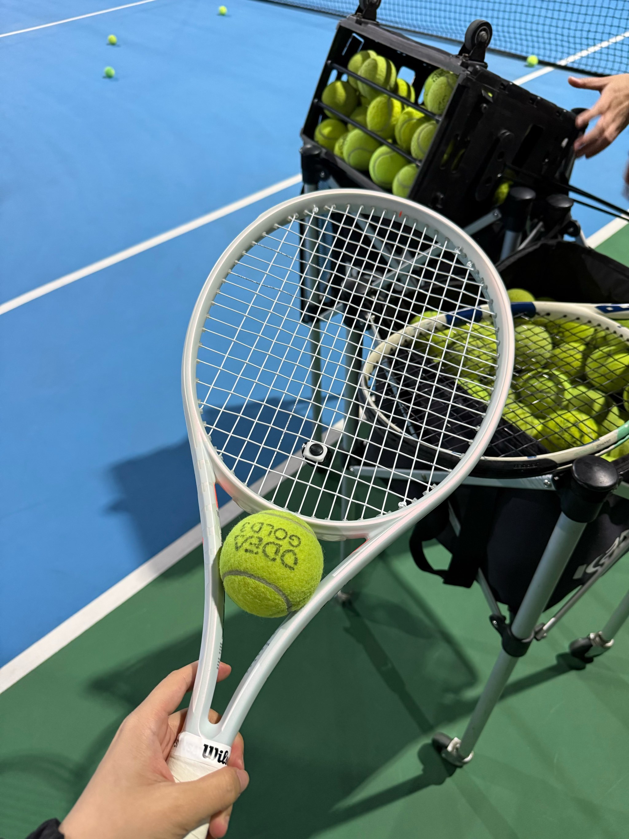 不僅年輕 不僅年輕